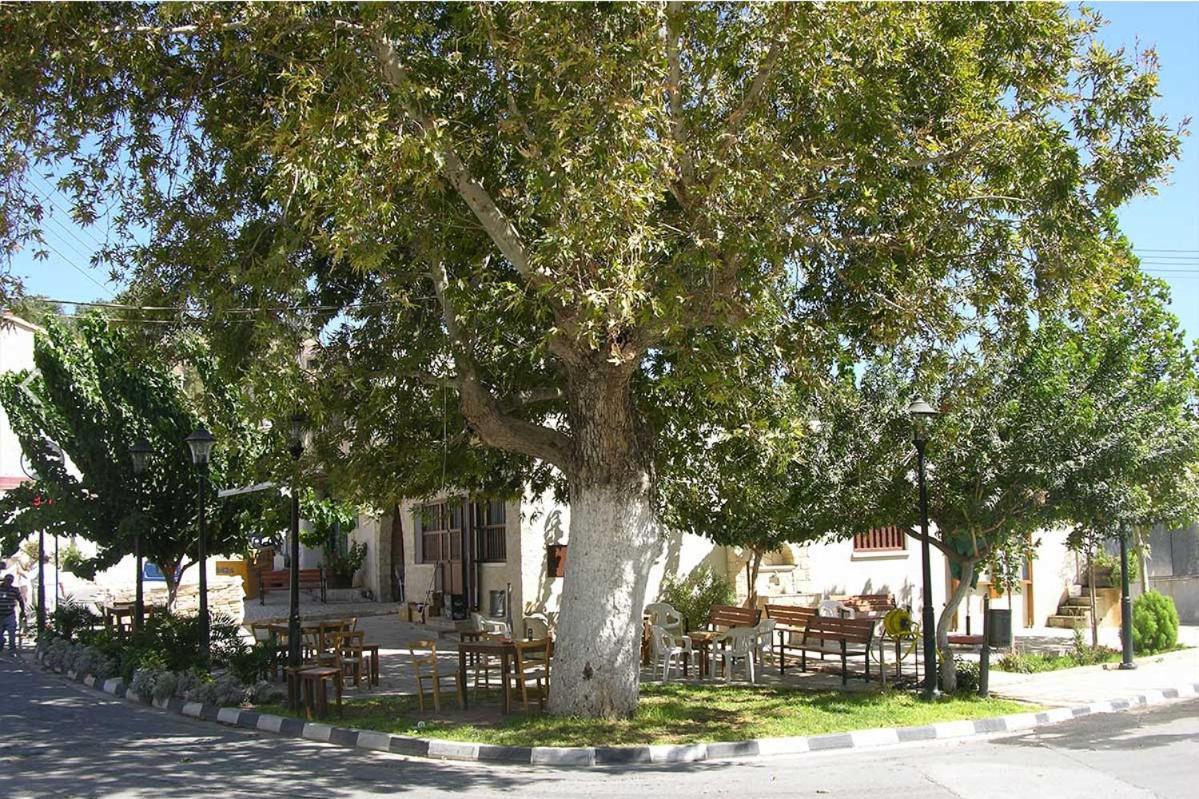 Avalon Village Houses Limassol Exterior foto